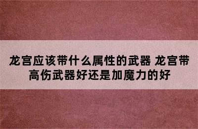 龙宫应该带什么属性的武器 龙宫带高伤武器好还是加魔力的好